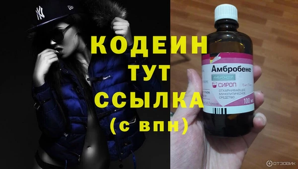 молекула духа Бугульма