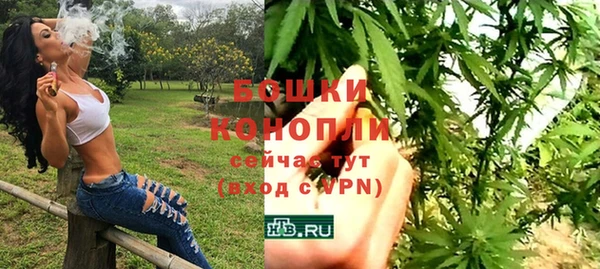 молекула духа Бугульма